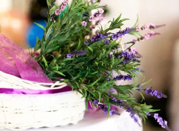 The-Power-of-Lavender-Your-Gateway-to-Calm Calmly Co.
